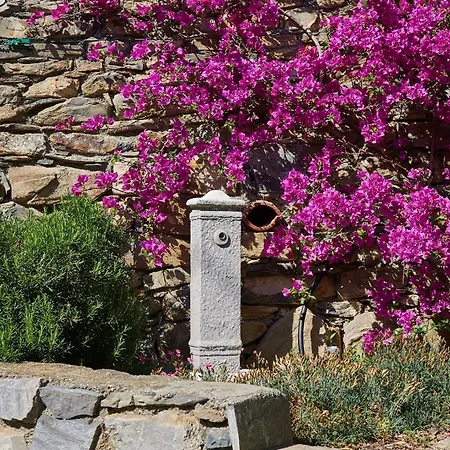 Bed and breakfast B&B Villa Karen *